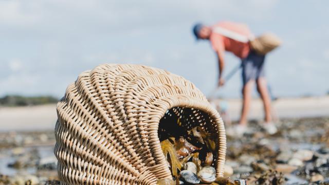 Pêche à pied à Agon-Coutainville