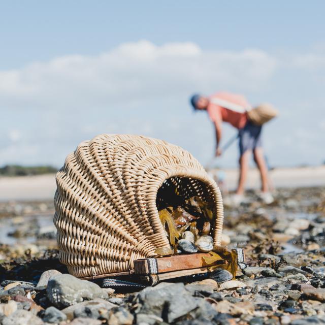 Pêche à pied à Agon-Coutainville