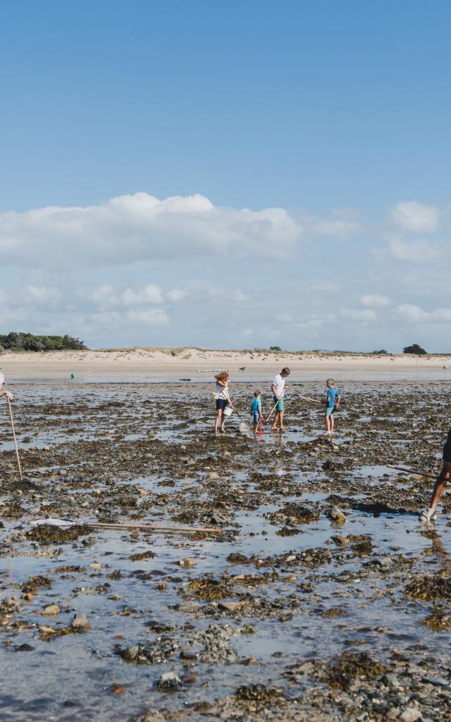 Marée basse à Agon-Coutainville, grande marée