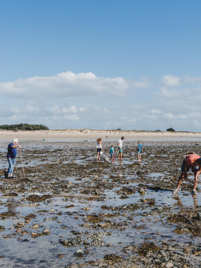 Marée basse à Agon-Coutainville, grande marée