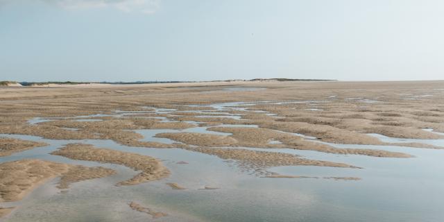 Havre de la Vanlée à marée basse