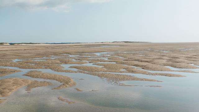 Havre de la Vanlée à marée basse