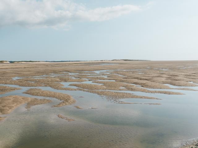 Havre de la Vanlée à marée basse