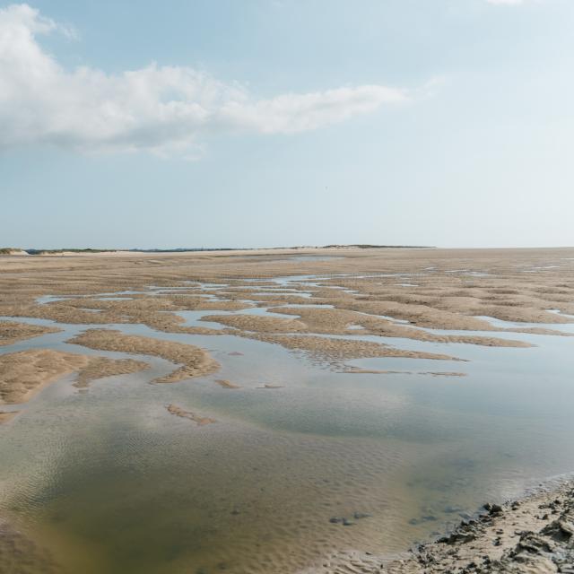 Havre de la Vanlée à marée basse