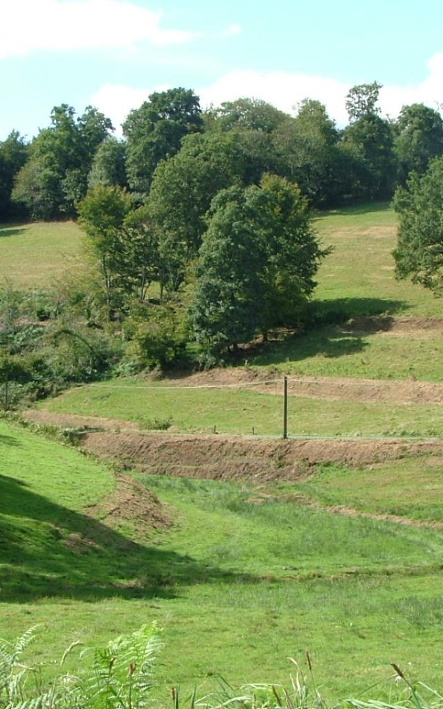 Bocage à La Baleine