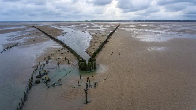 Pêcherie la Maillard de Hauteville sur Mer