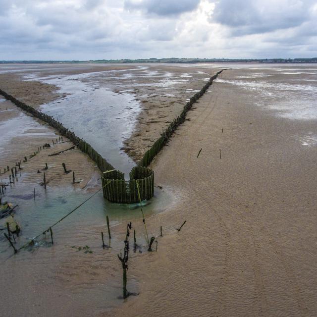 Pêcherie la Maillard à Hauteville-sur-Mer