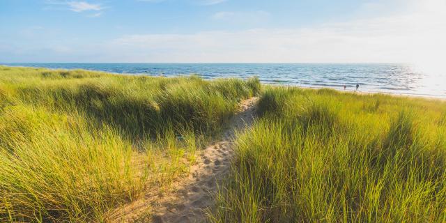 Plage et dunes d'Annoville