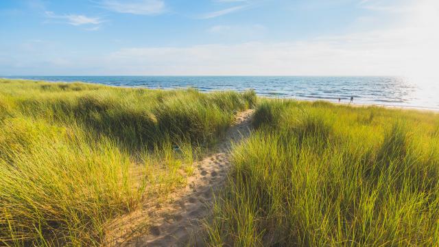 Plage et dunes d'Annoville