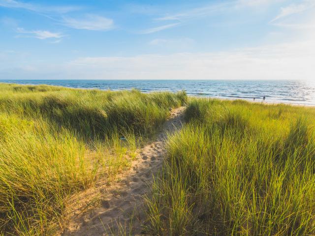 Plage et dunes d'Annoville