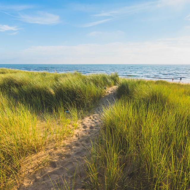 Plage et dunes d'Annoville