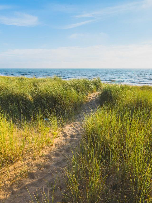 Plage et dunes d'Annoville