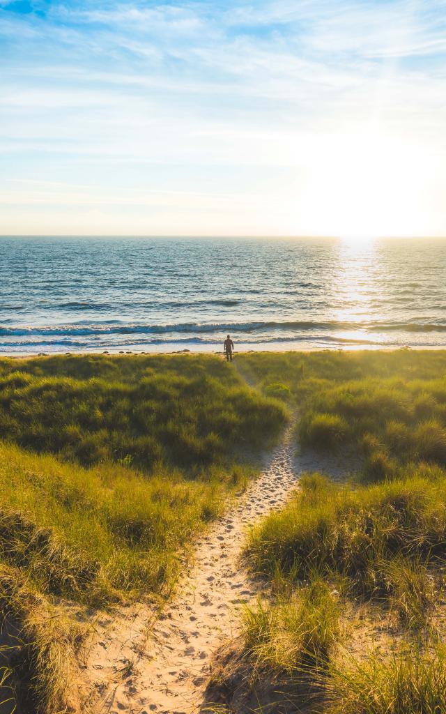 Les dunes d'Annoville