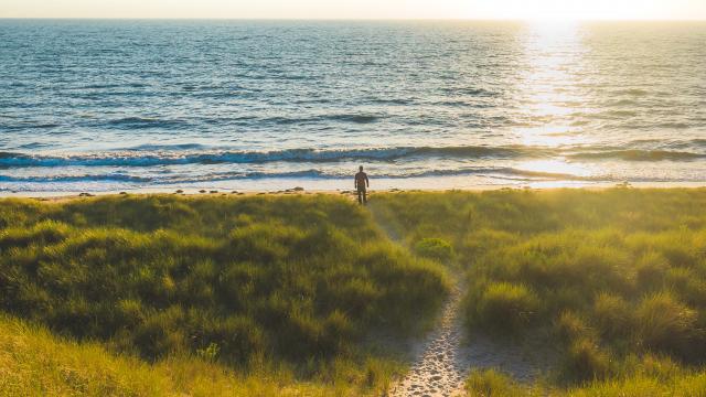 Les dunes d'Annoville