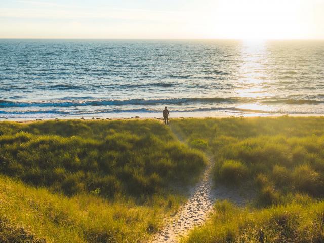 Les dunes d'Annoville