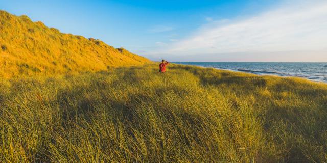 Dunes d'Annoville et nature sauvage