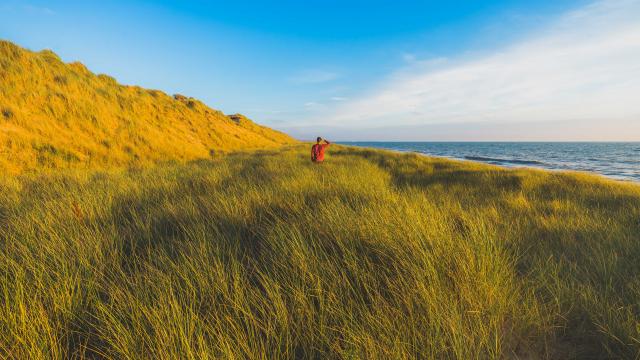 Dunes d'Annoville et nature sauvage