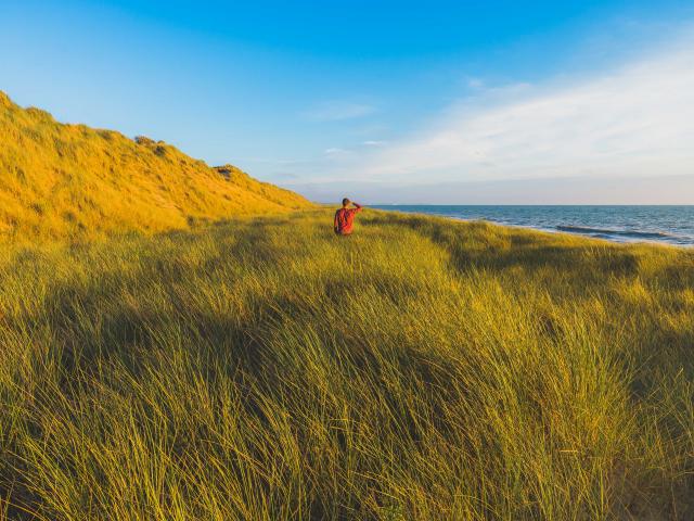 Dunes d'Annoville et nature sauvage