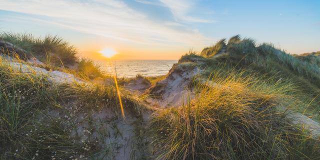 Les dunes d'Annoville au soleil couchant