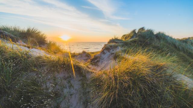 Les dunes d'Annoville au soleil couchant