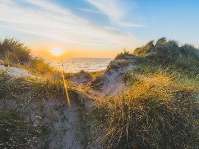 Les dunes d'Annoville au soleil couchant