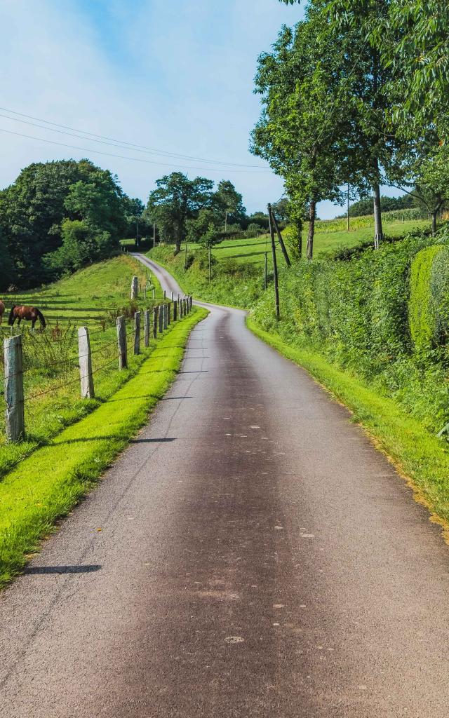 Routes de la campagne de La Baleine