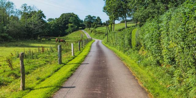 Routes de la campagne de La Baleine