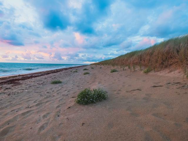 Plage de blainville sur mer