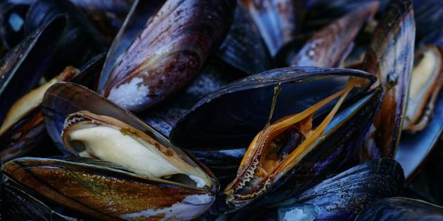 Les moules produits du terroir de coutances mer et bocage