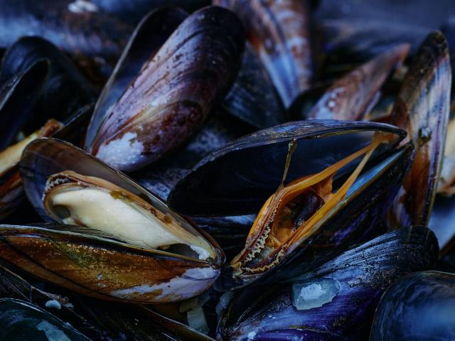 Les moules produits du terroir de coutances mer et bocage