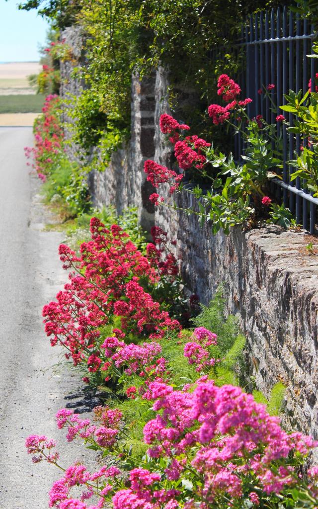 Jolie porte dans une ruelle de Regnéville-sur-Mer