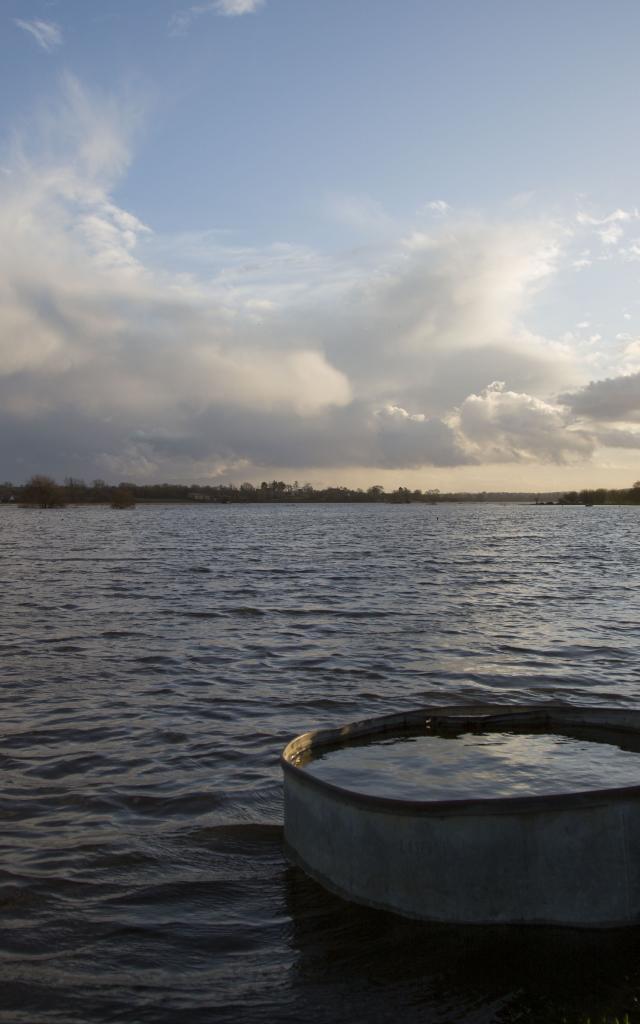 Marais du cotentin Blanc en hiver