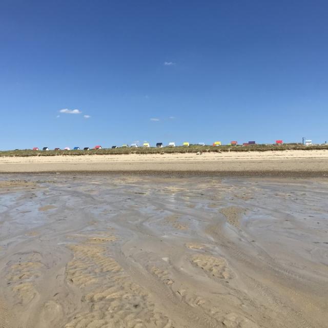 Estran marée basse à Gouville sur mer