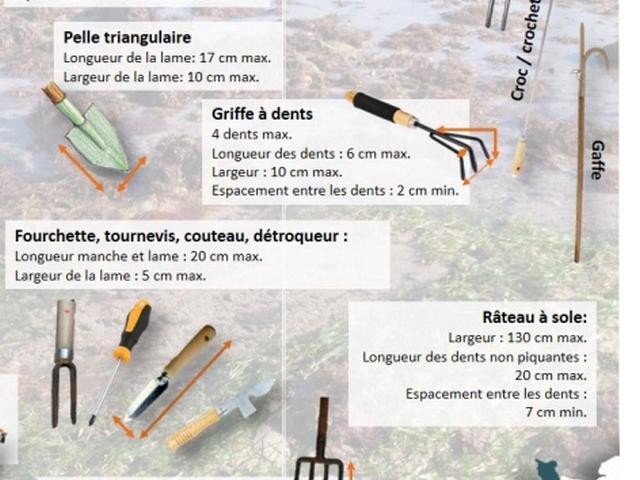 Outils de pêche dans le prospectus de l'APP2R