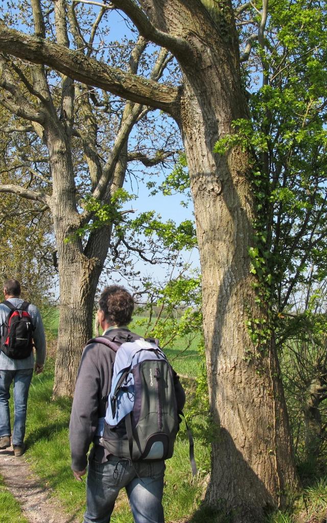 randonneurs dans le parc naturel des marais du Cotentin et du Bessin