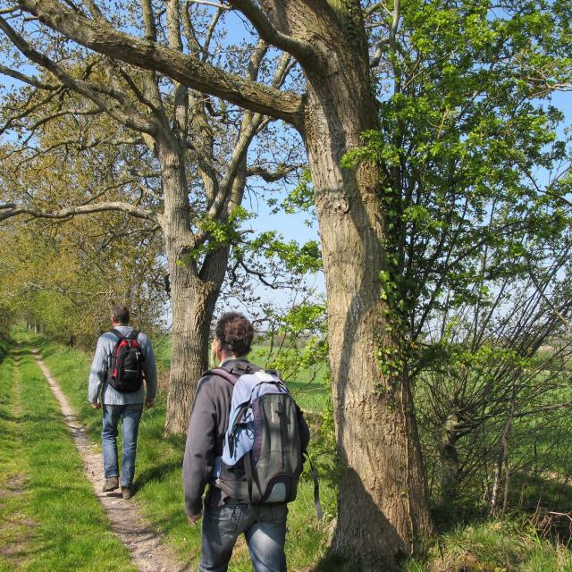 randonneurs dans le parc naturel des marais du Cotentin et du Bessin