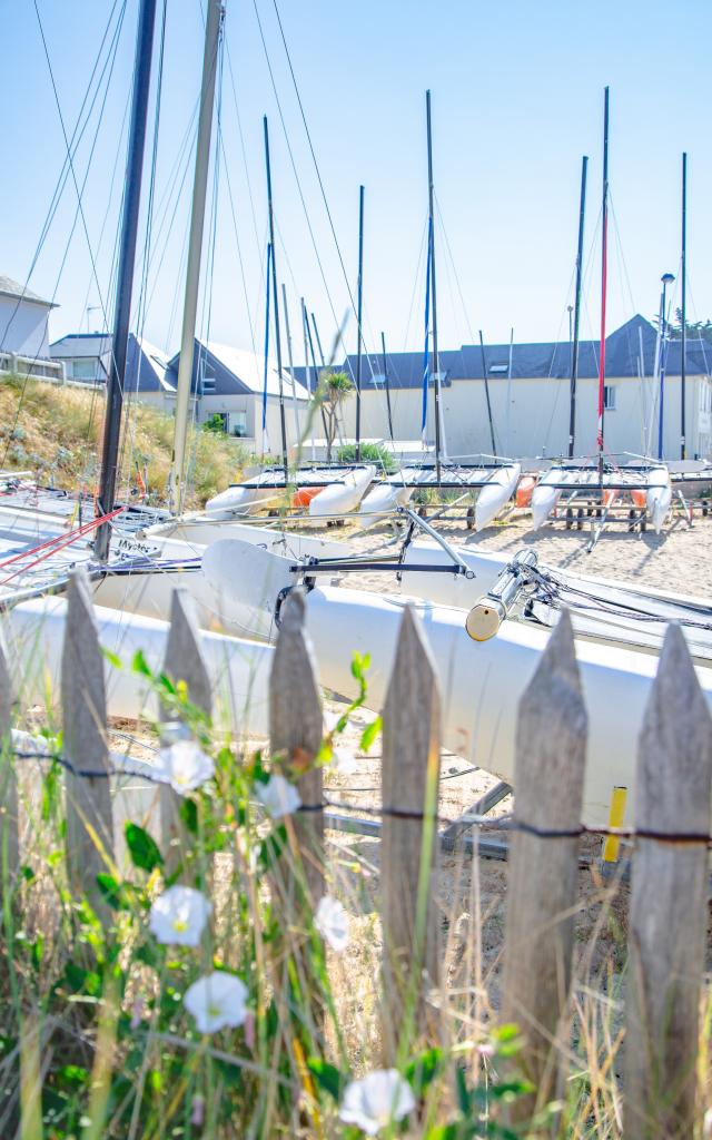 Catamarans de l'école de voile de Hauteville-sur-Mer