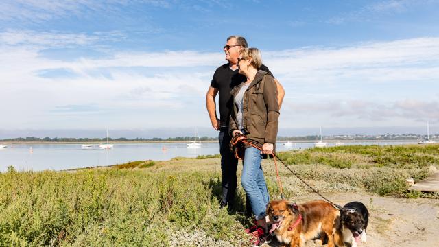 vaca,ces avec son chien : toutourisme et idées de balades