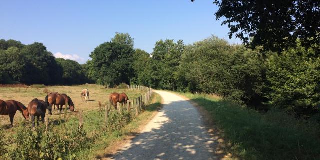 Voie verte par Coutances Tourisme