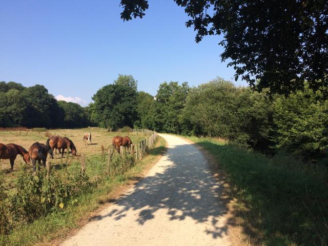 Voie verte par Coutances Tourisme