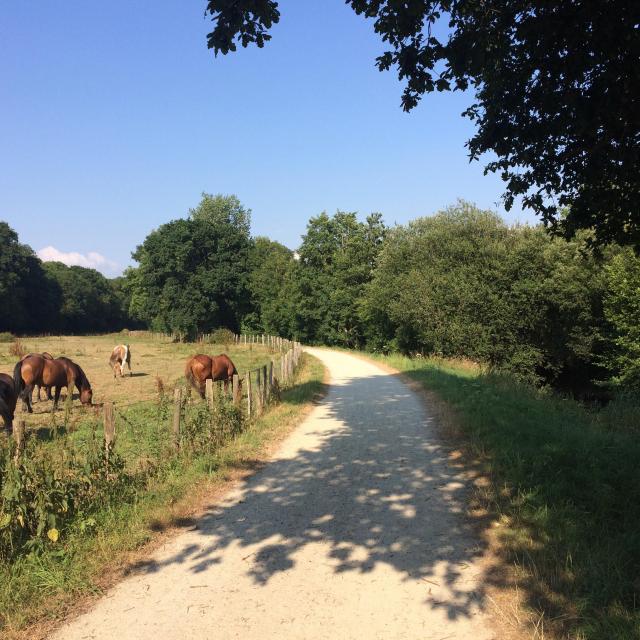 Voie verte par Coutances Tourisme