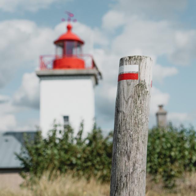 Aymeric PiPhare de la pointe d'Agoncot Reportage2020 Pointe Agon 04292 (35)