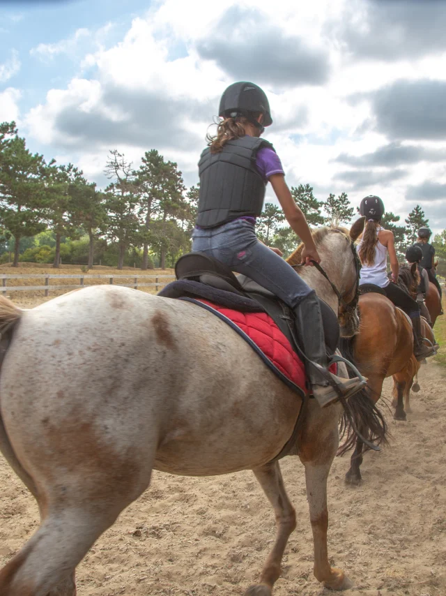 Séance d'équitation à Coutances mer et bocage