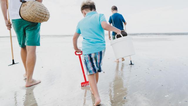 Pêche à pied avec les enfants