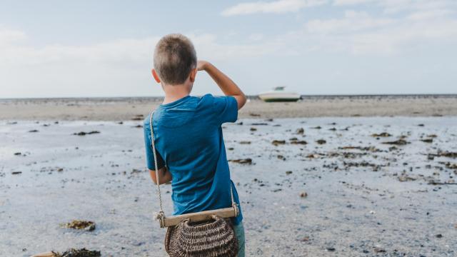 Pêche à pied avec les enfants