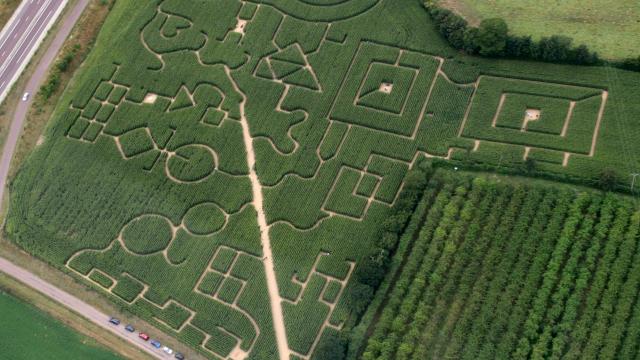 Labyrinthe de Maïs de Coutances