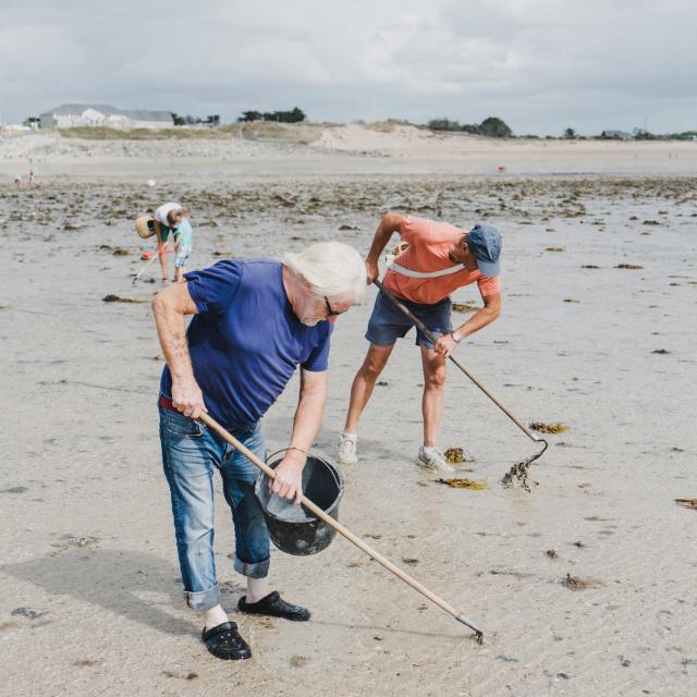 Pêche à pied à Agon-Coutainville