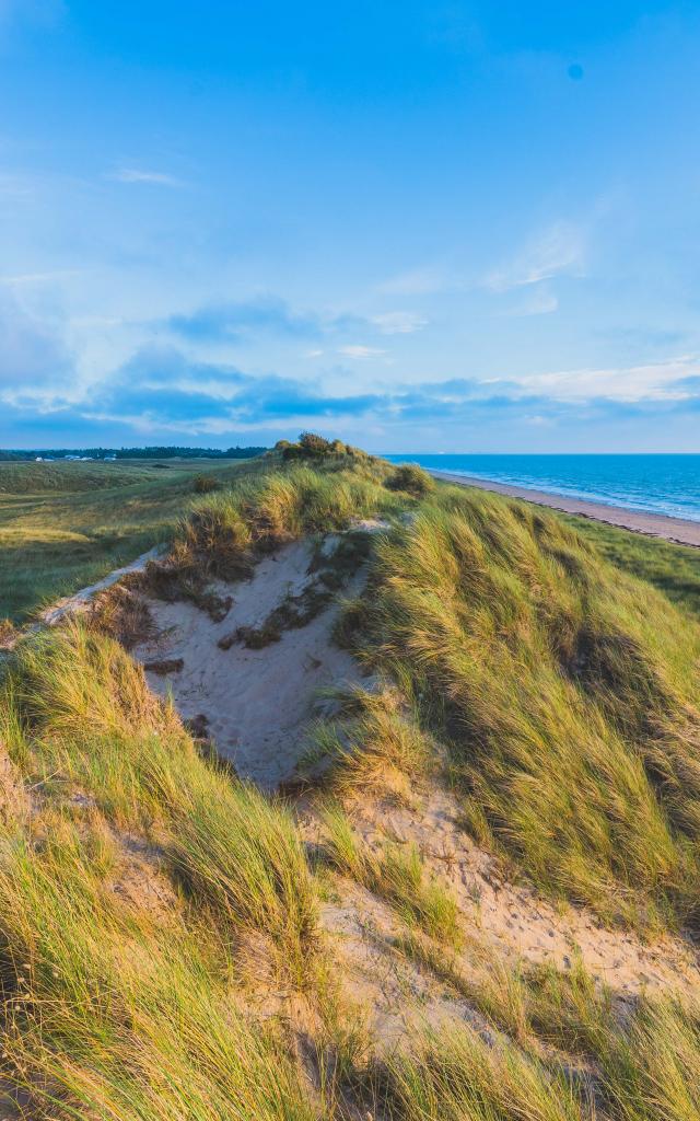 Dunes d'annoville