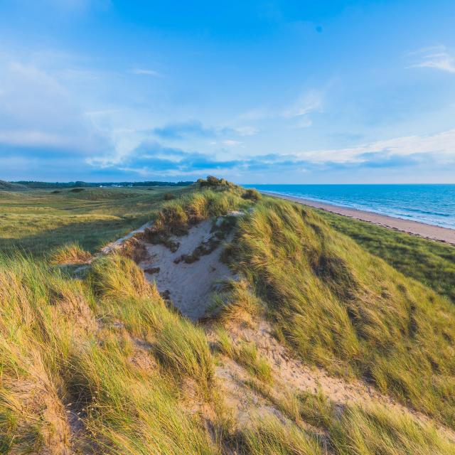 Dunes d'annoville