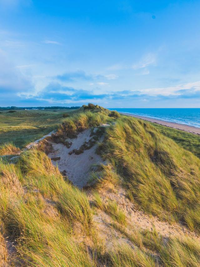 Dunes d'annoville